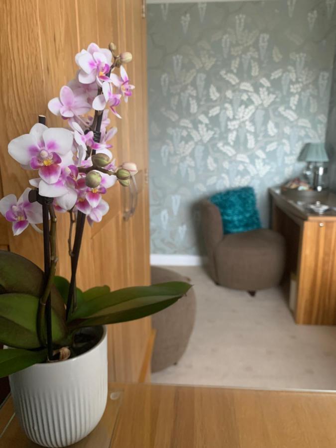Ramsey House - Luxury Licensed B&B - Parking And Guest Lounge セント・デイビッズ エクステリア 写真